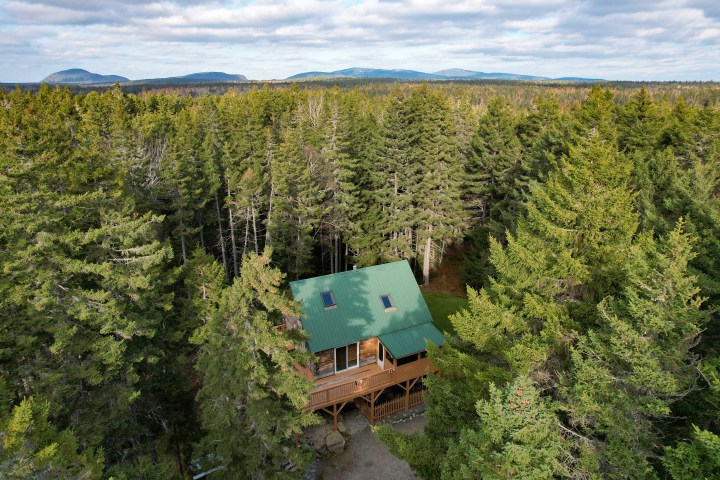 a view of a lush green forest