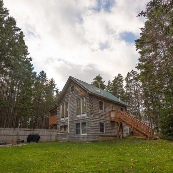 a tree in front of a house