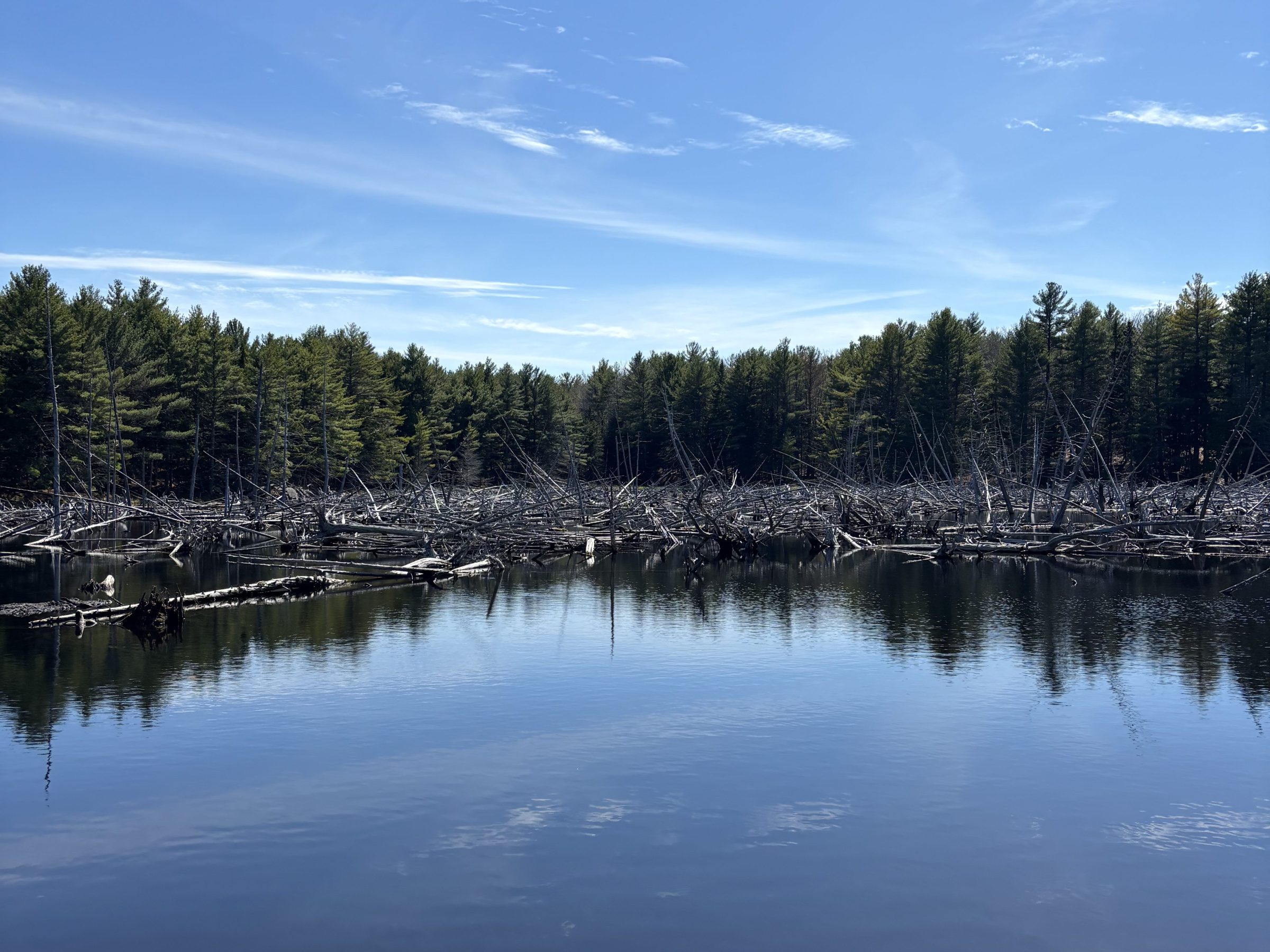 a large body of water